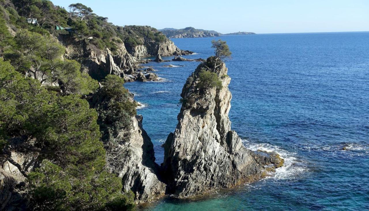 Studio Residence Bona, Vue Hippodrome Et Mer, Clim Hyères Exterior foto